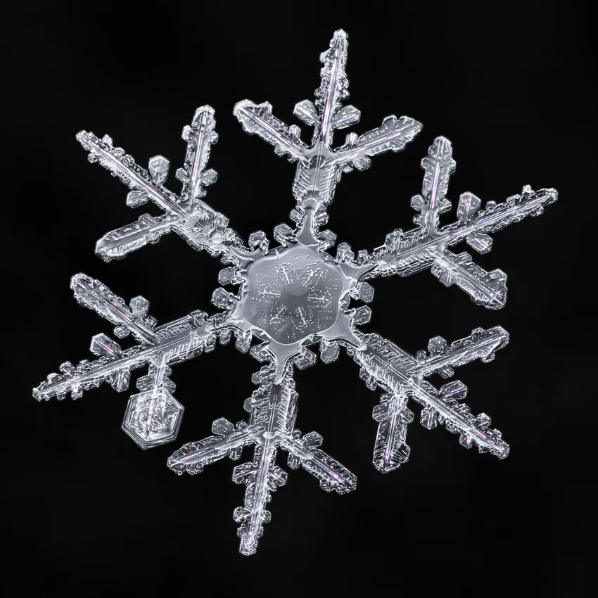 Mùa đông tinh khôi hiện rõ trong từng ảnh bông tuyết trắng