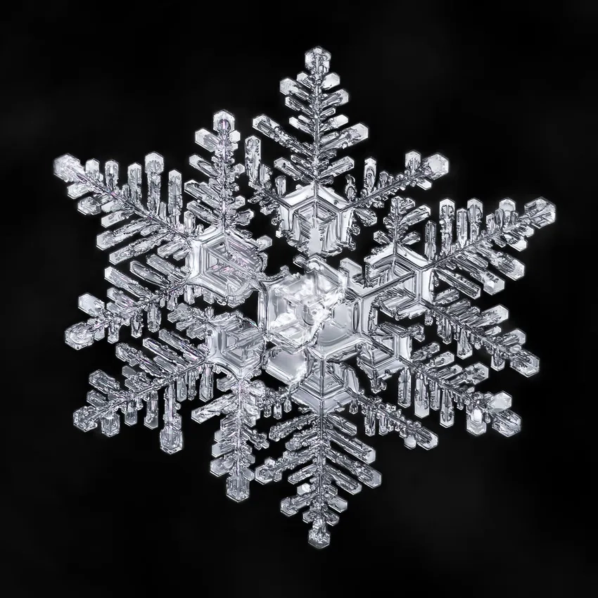 Mùa đông chân thực hơn bao giờ hết trong ảnh bông tuyết full HD