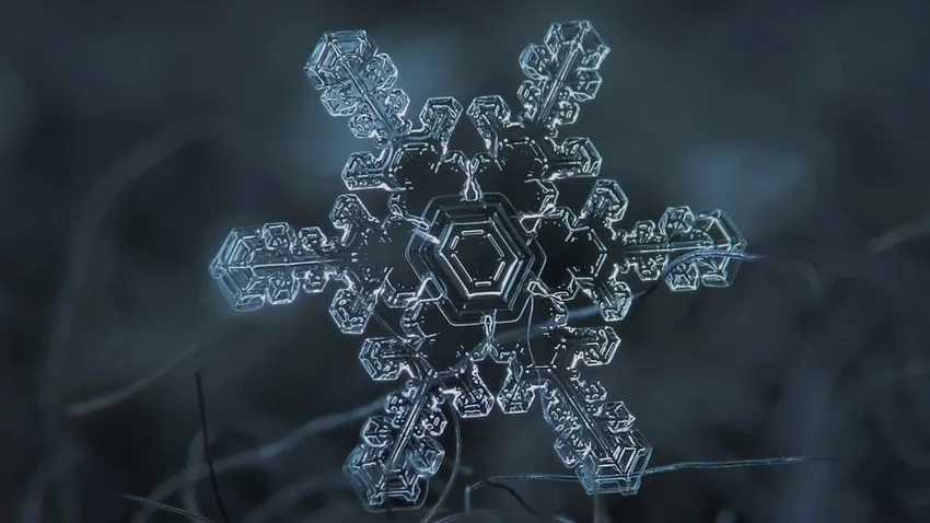 Nét sáng tạo tinh tế tỏa sắc trong ảnh bông tuyết nghệ thuật