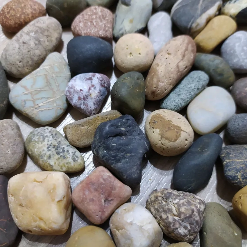 Hồ cá thêm sinh động nhờ đá cuội trang trí hồ cá