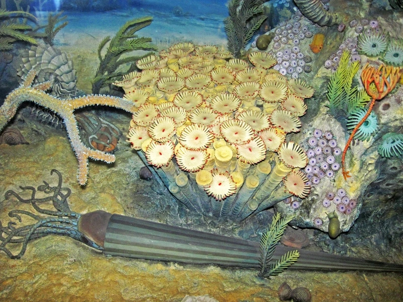 Tạo dự án nhanh với diorama dưới nước dễ làm