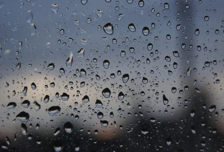 Hướng dẫn chụp macro giọt mưa tạo hiệu ứng sống động