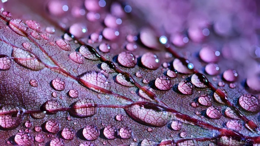 Trải nghiệm thư giãn cùng wallpaper thiên nhiên HD