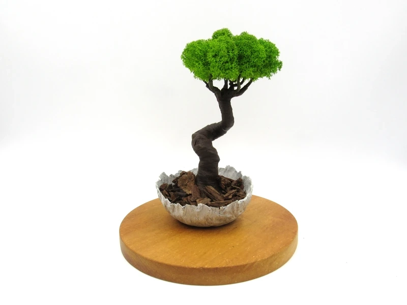 Thiết kế độc đáo qua làm cây giả tí hon độc đáo