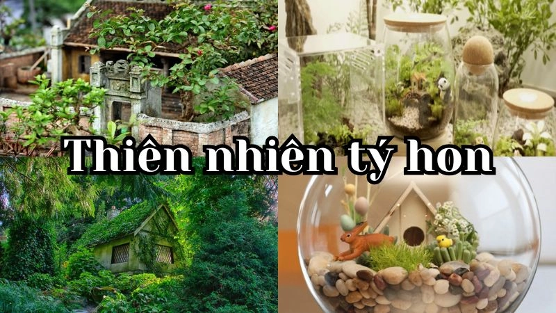 Thiên nhiên tý hon qua ống kính nghệ thuật
