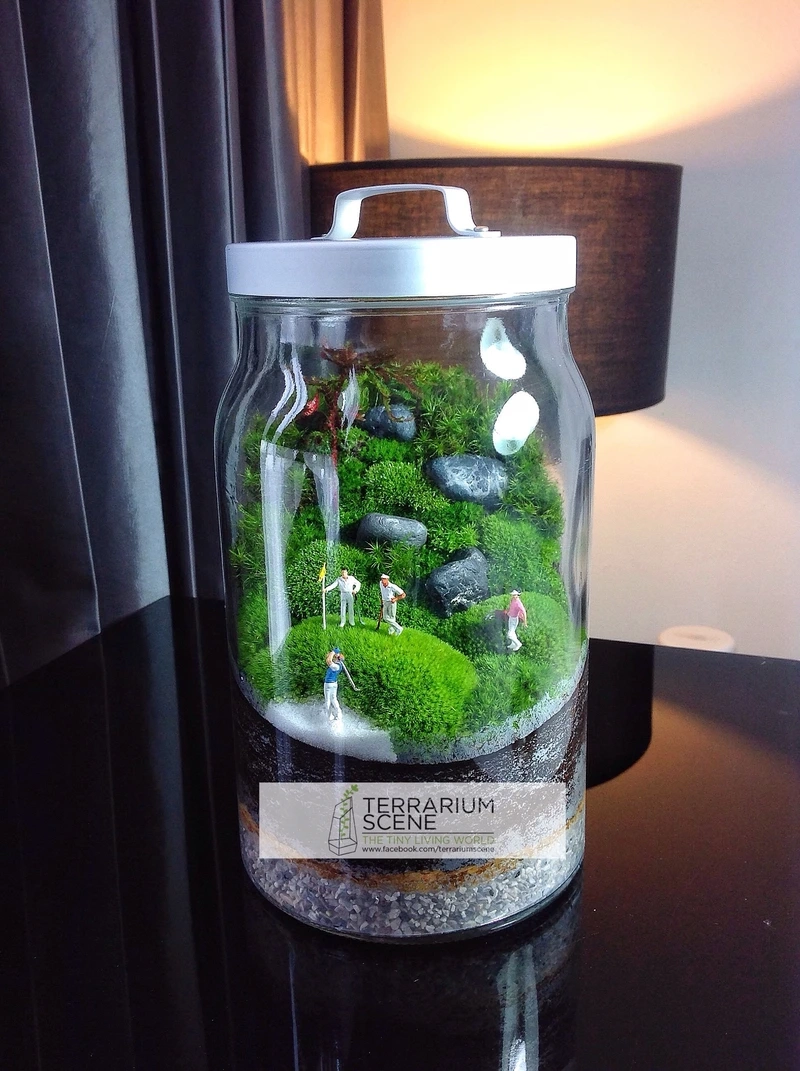 Khám phá chi tiết sống động của tiểu cảnh trong hũ thủy tinh mini