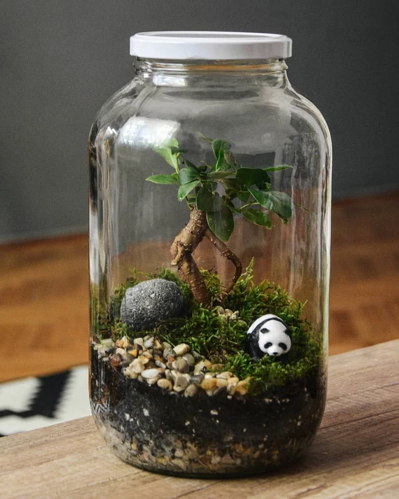 DIY thú vị cùng tiểu cảnh trong hũ thủy tinh DIY