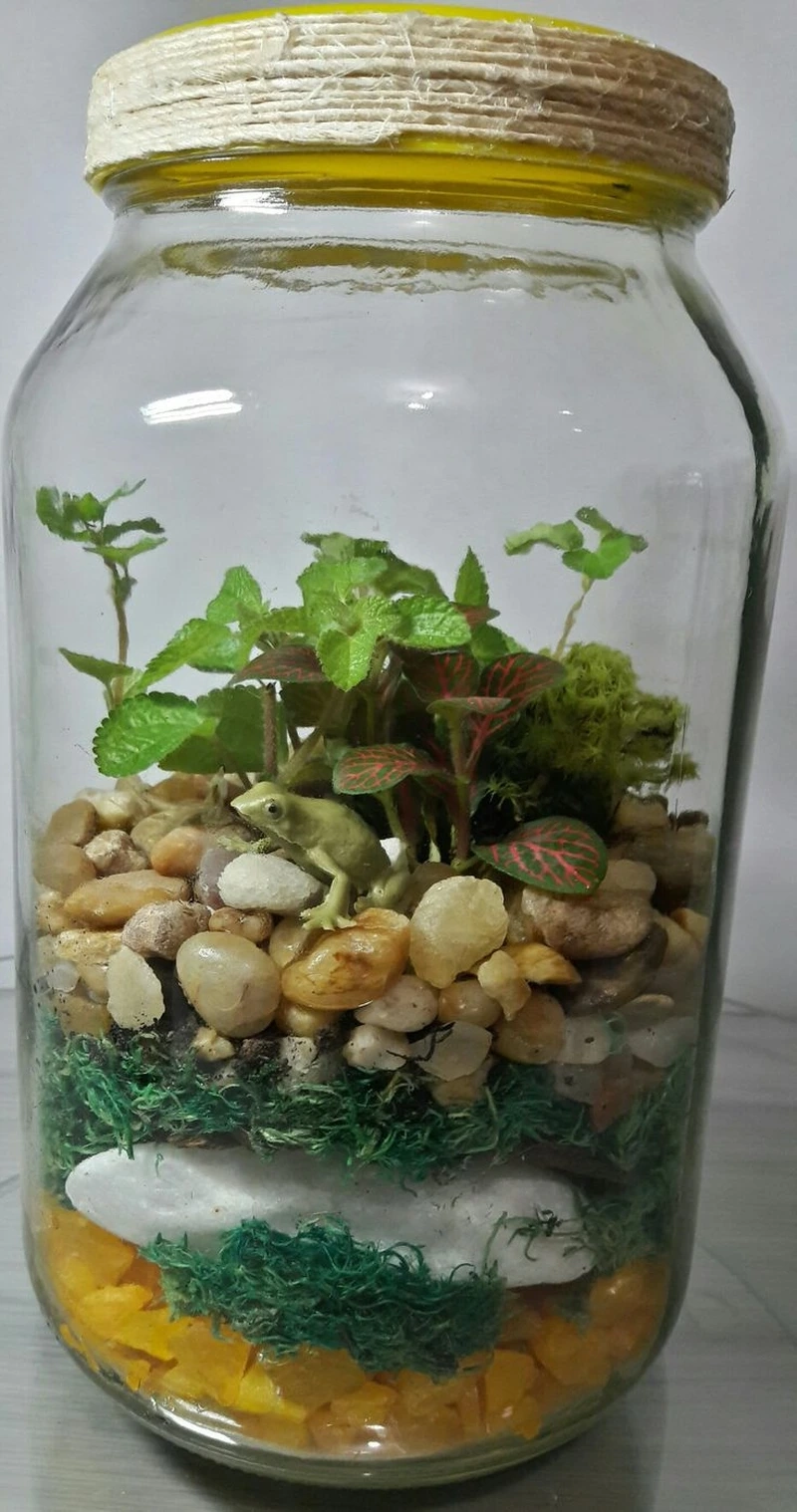 Dễ làm và vui nhộn với tiểu cảnh trong hũ thủy tinh dễ làm