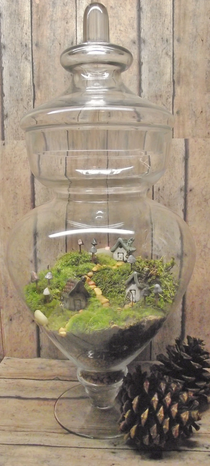 Phong cảnh thu nhỏ tuyệt đẹp cùng tiểu cảnh trong hũ thủy tinh phong cảnh