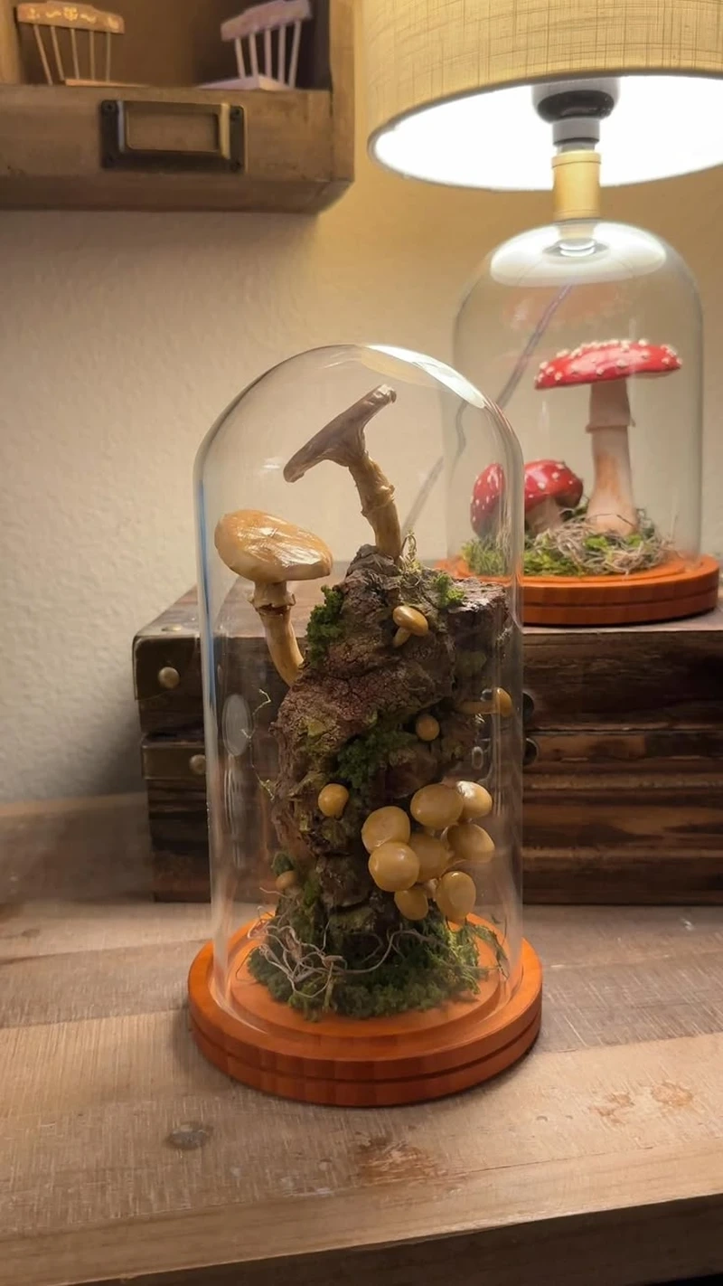 Mô hình chi tiết nhờ tiểu cảnh trong hũ thủy tinh mô hình