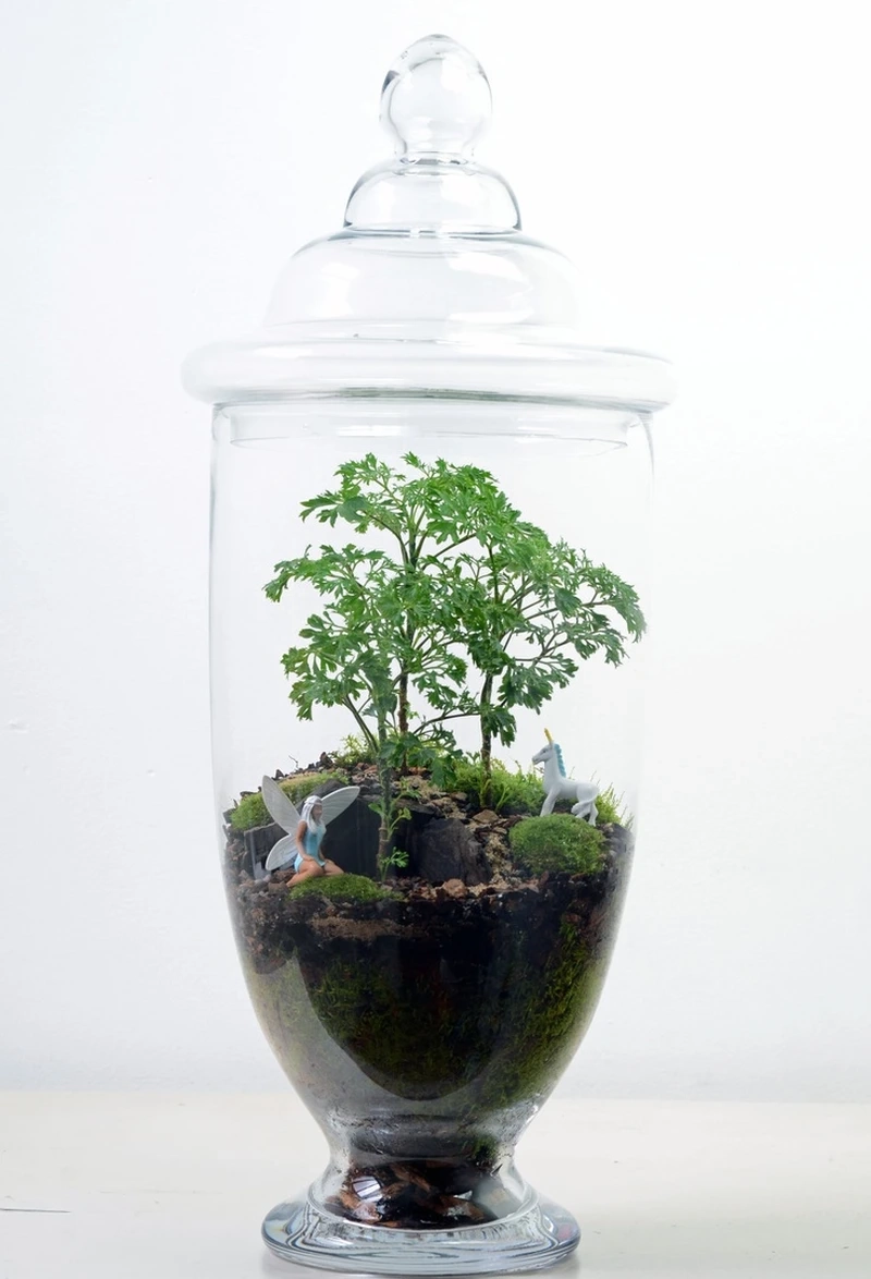 Khơi nguồn sáng tạo với tiểu cảnh trong hũ thủy tinh sáng tạo