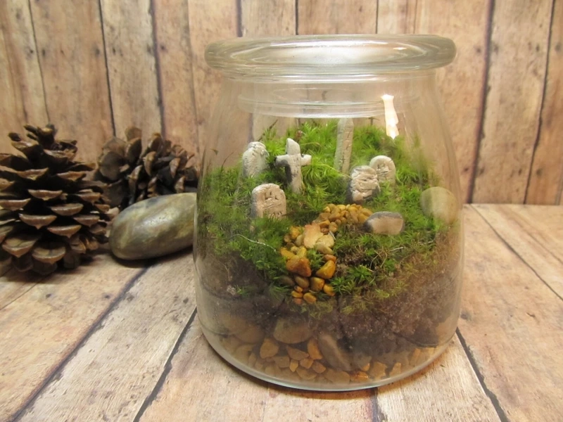 Mini garden tuyệt đẹp nhờ tiểu cảnh trong hũ thủy tinh mini garden