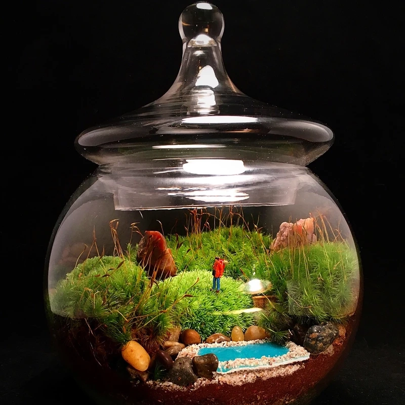 Thu nhỏ thế giới cùng tiểu cảnh trong hũ thủy tinh thu nhỏ