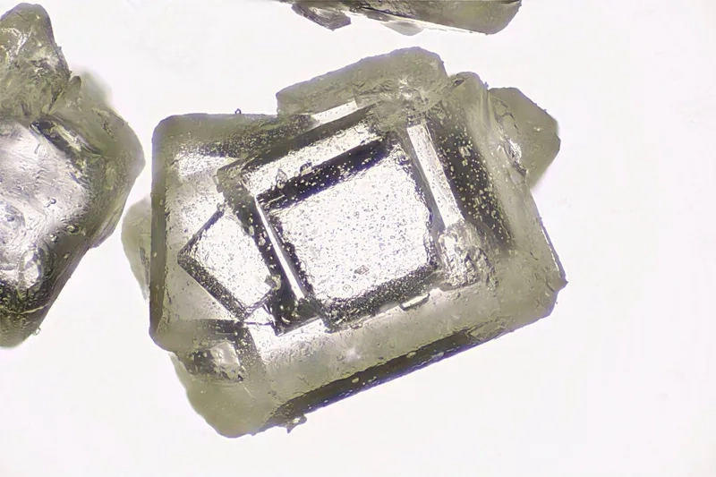 So sánh đường và muối dưới kính