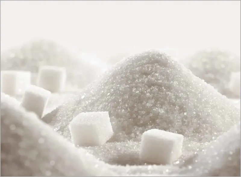 Quan sát đường bằng kính lúp