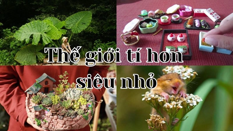 Tầm nhìn và sứ mệnh của chúng tôi
