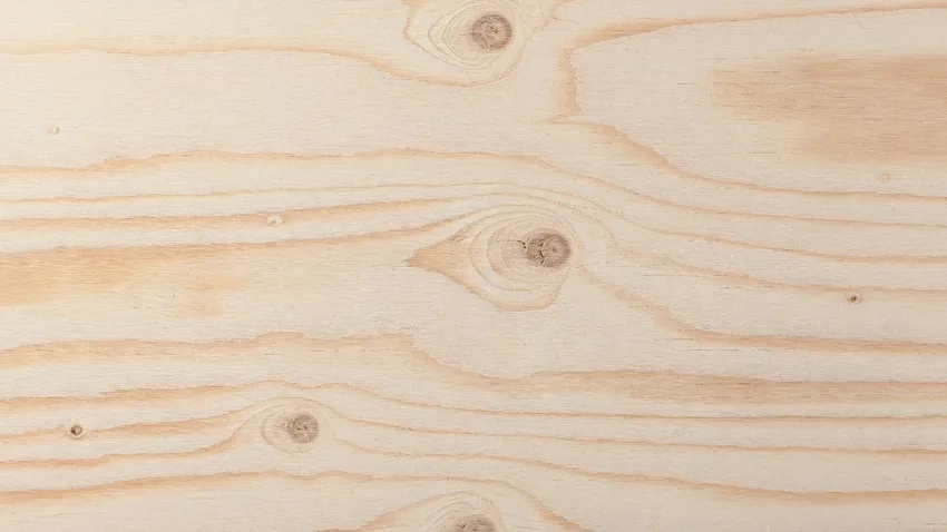 Texture gỗ macro hiện lên rõ từng đường vân tinh tế