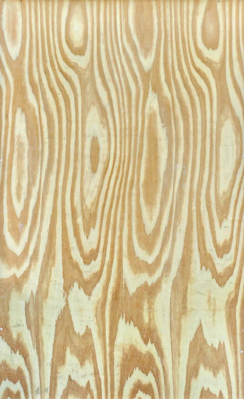 Vân gỗ cận cảnh thể hiện sắc nét từng chi tiết