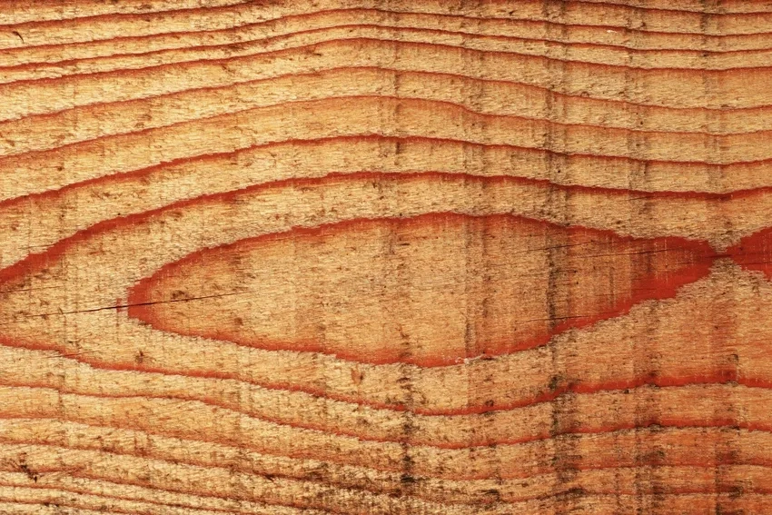 Vân gỗ sần sùi macro hiển thị chân thực từng sớ gỗ