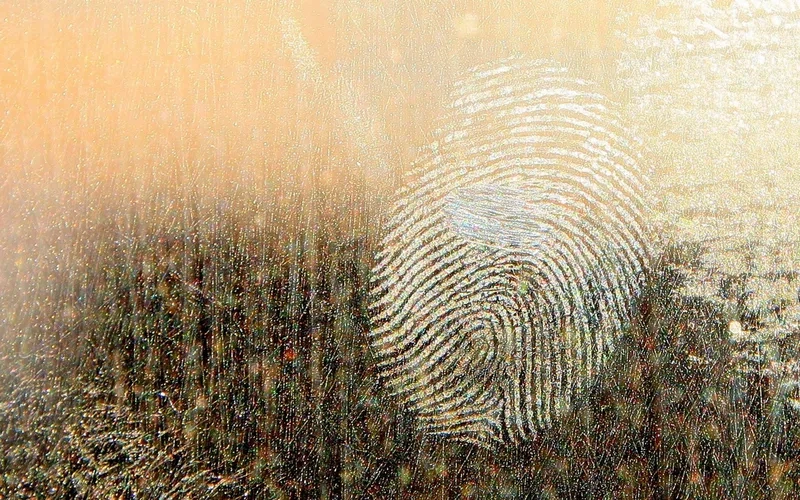 Xem ngay hình ảnh vân tay phóng to chi tiết