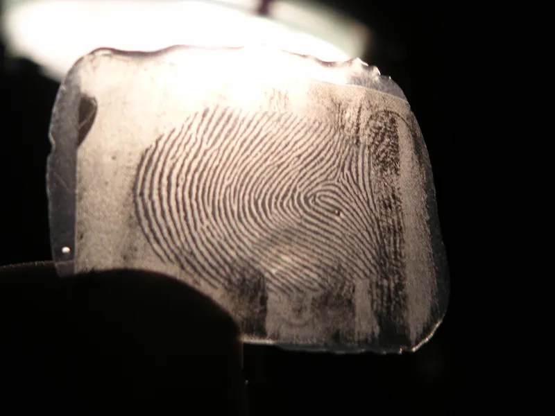 Đặc điểm của vân tay hình móc và ý nghĩa