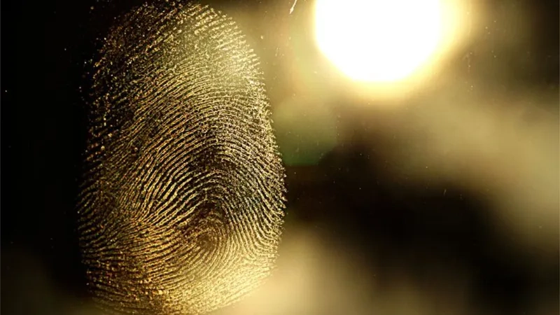 Bí ẩn cấu tạo vân tay người được giải mã