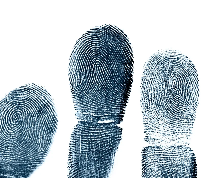 Phân tích lớp biểu bì vân tay bằng công nghệ cao