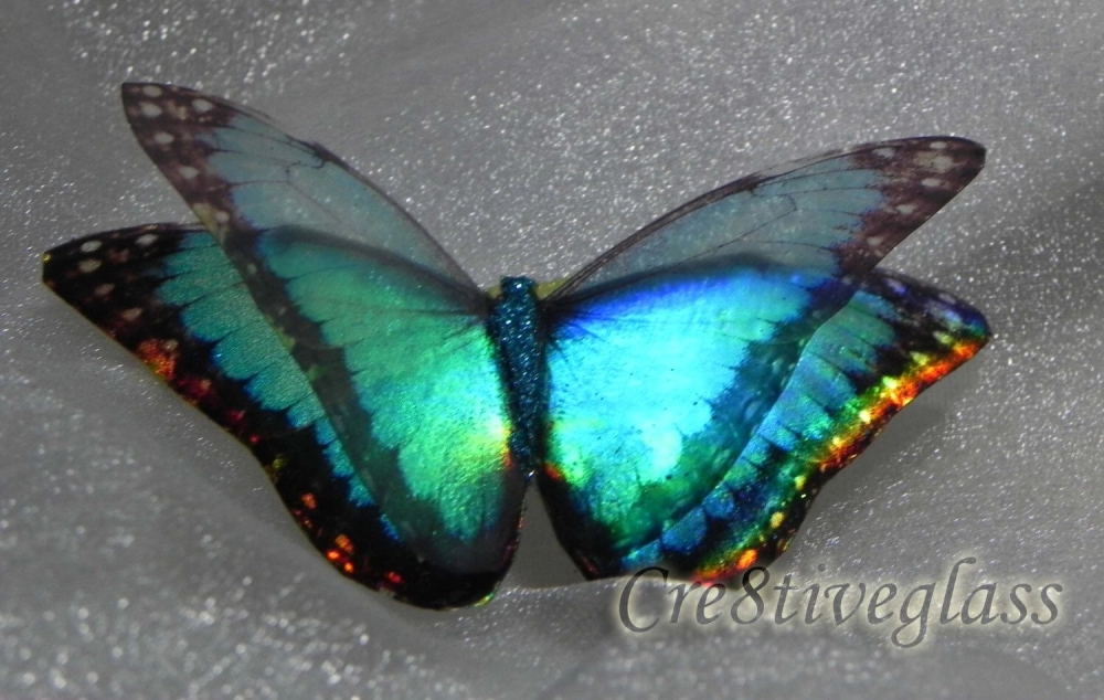 Một góc cánh bướm bị rách để lộ cấu trúc khung xương bên trong