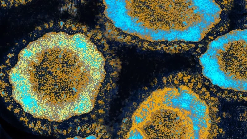 Biến thể Omicron dưới kính hiển vi