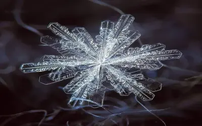 Chiêm ngưỡng ảnh bông tuyết phóng to sắc nét đến khó tin