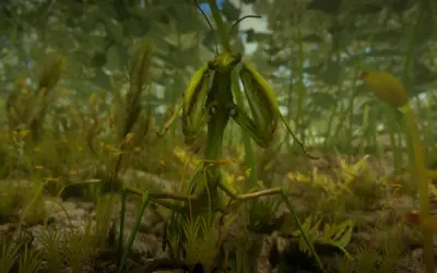 1000+ Ảnh thế giới côn trùng 4k sắc nét độc quyền