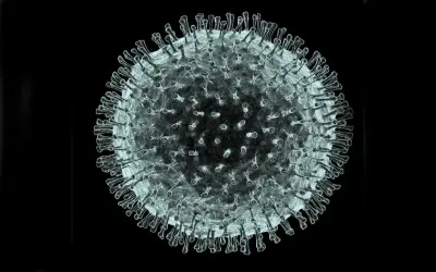 Khám phá cấu trúc của Virus corona dưới kính hiển vi