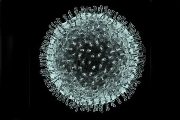 Khám phá cấu trúc của Virus corona dưới kính hiển vi