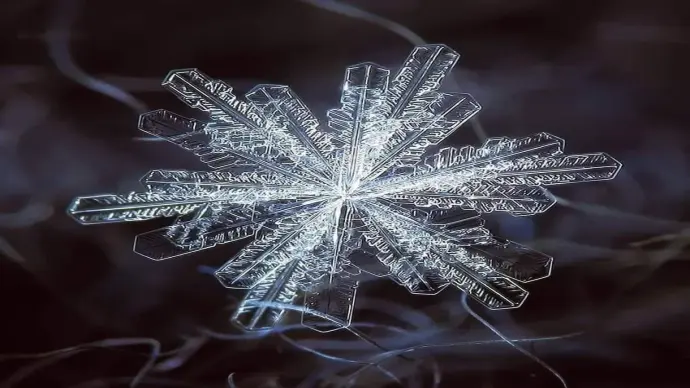 Chiêm ngưỡng ảnh bông tuyết phóng to sắc nét đến khó tin