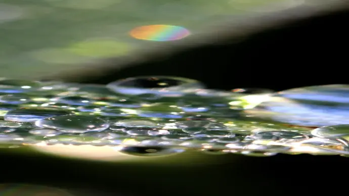 Ảnh hạt mưa rơi macro đẹp mê ly ghi lại khoảnh khắc sống