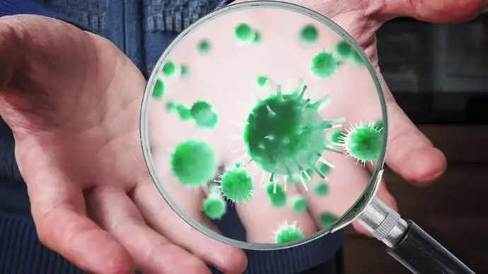 Khám phá về sự thật thú vị về vi khuẩn trên tay người