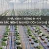 Khám phá mô hình nhà kính: Giải pháp nông nghiệp hiện đại và hiệu quả