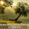 Khám phá những cảnh đẹp nhất trong ảnh phong cảnh thế giới 2026