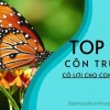 Khám phá thế giới côn trùng: Loài có lợi và có hại