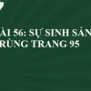 Khám phá thế giới sự sinh sản của côn trùng và chu kỳ phát triển