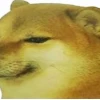 Meme Chém Đầu: Nguồn Gốc, Biến Tấu và Ý Nghĩa Gây Tranh Cãi