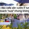 Mô hình quán cafe cây xanh tạo nên không gian thư giãn độc đáo 2026