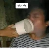 Tổng hợp Meme Bịt Miệng Chó và Biểu Cảm Hài Hước Độc Đáo 2026