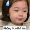 Tổng hợp meme mèo vô tri và những hình ảnh hài hước độc đáo nhất 2026