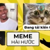 Top Avatar Meme Mèo Bựa Hài Hước Nhất 2026: Biểu Cảm Khó Đỡ Đốn Tim Dân Mạng