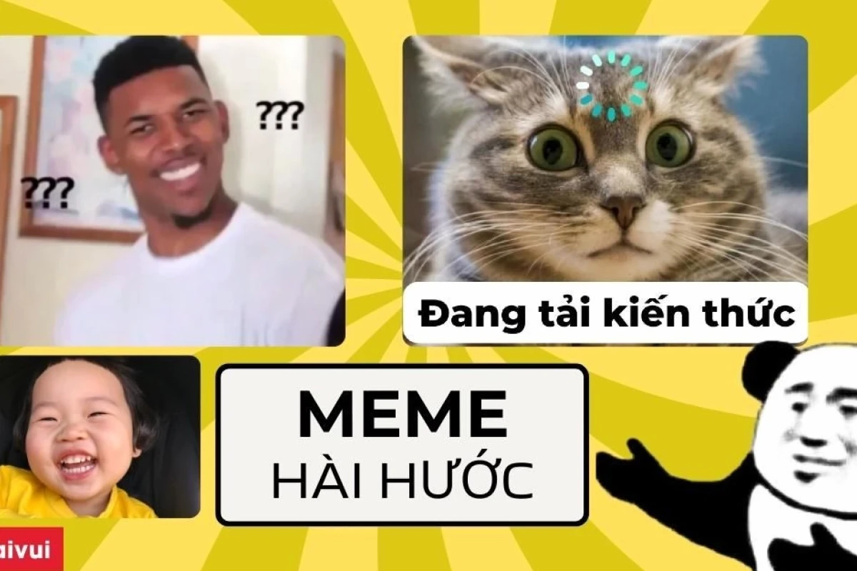 Top Avatar Meme Mèo Bựa Hài Hước Nhất 2026: Biểu Cảm Khó Đỡ Đốn Tim Dân Mạng