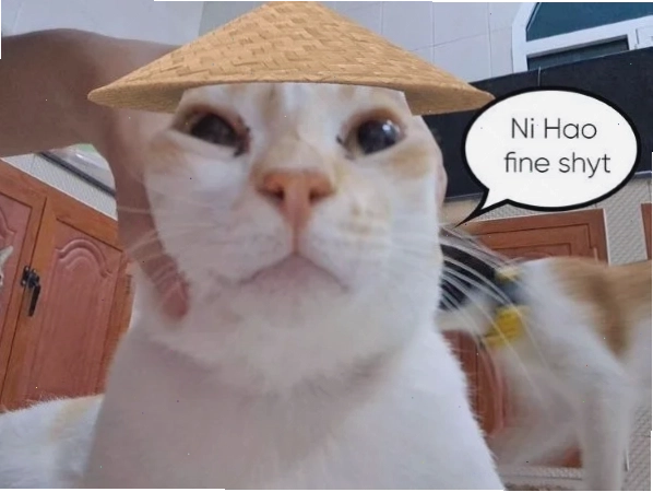 Ảnh chế hihi meme