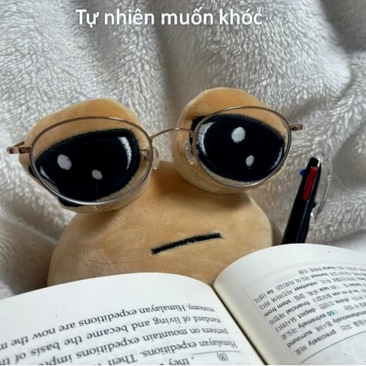 Ảnh meme buồn bã