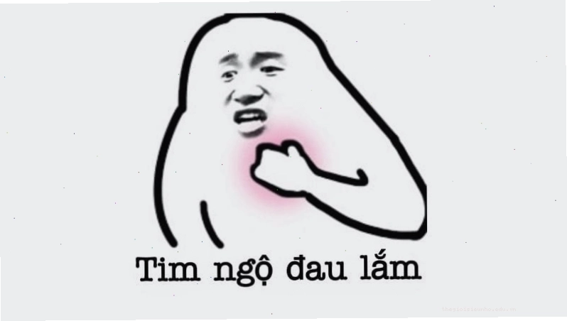 Ảnh meme hài hước về cuộc sống hàng ngày