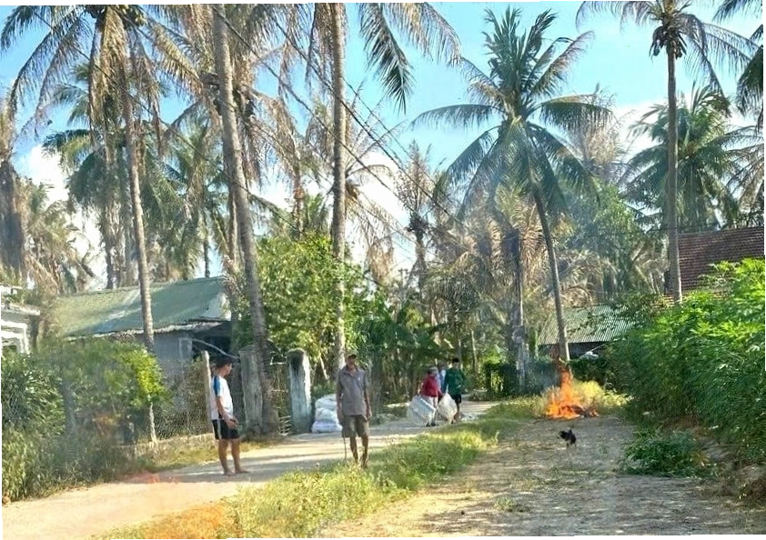 Ấu trùng sâu đầu đen với đầu màu đen đặc trưng